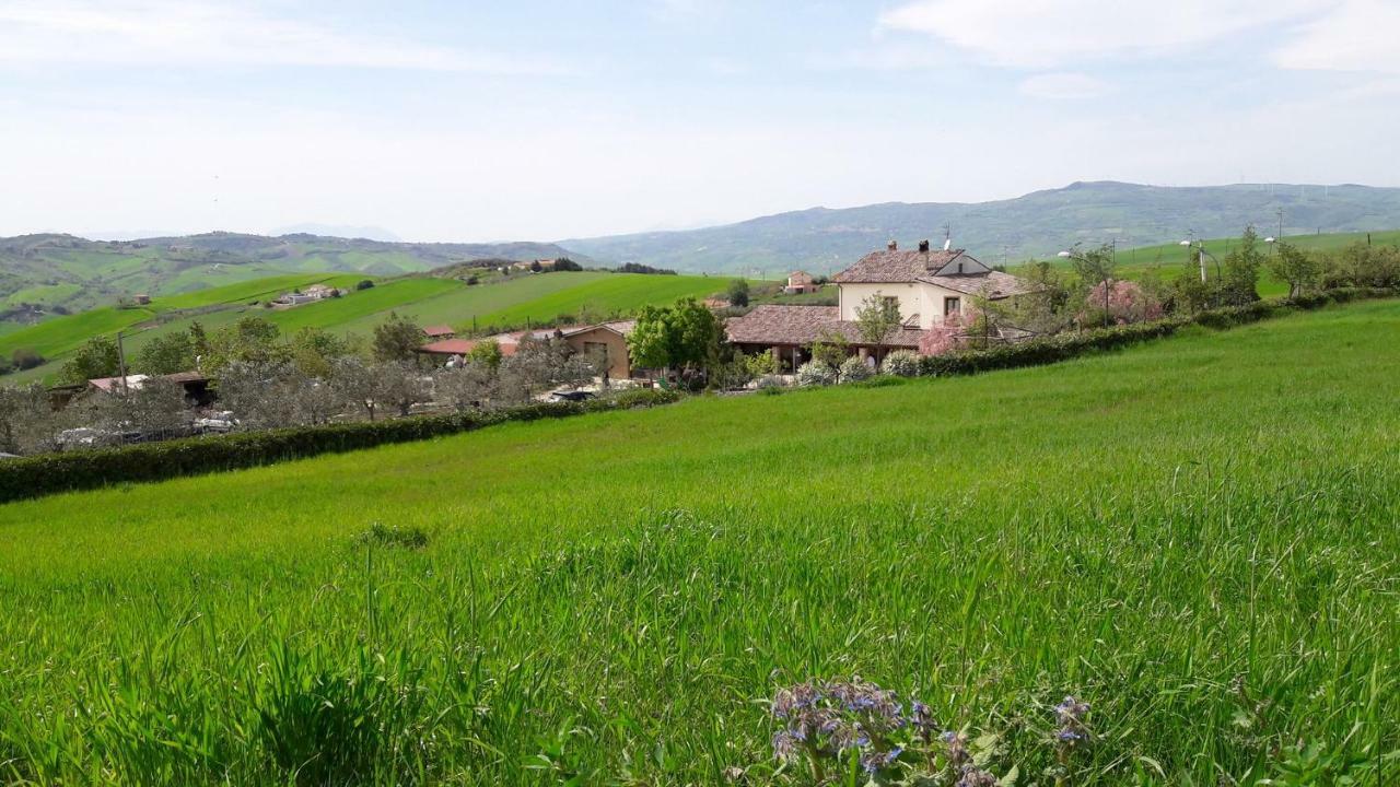 Agriturismo Regio Tratturo 亚力诺伊皮诺 外观 照片